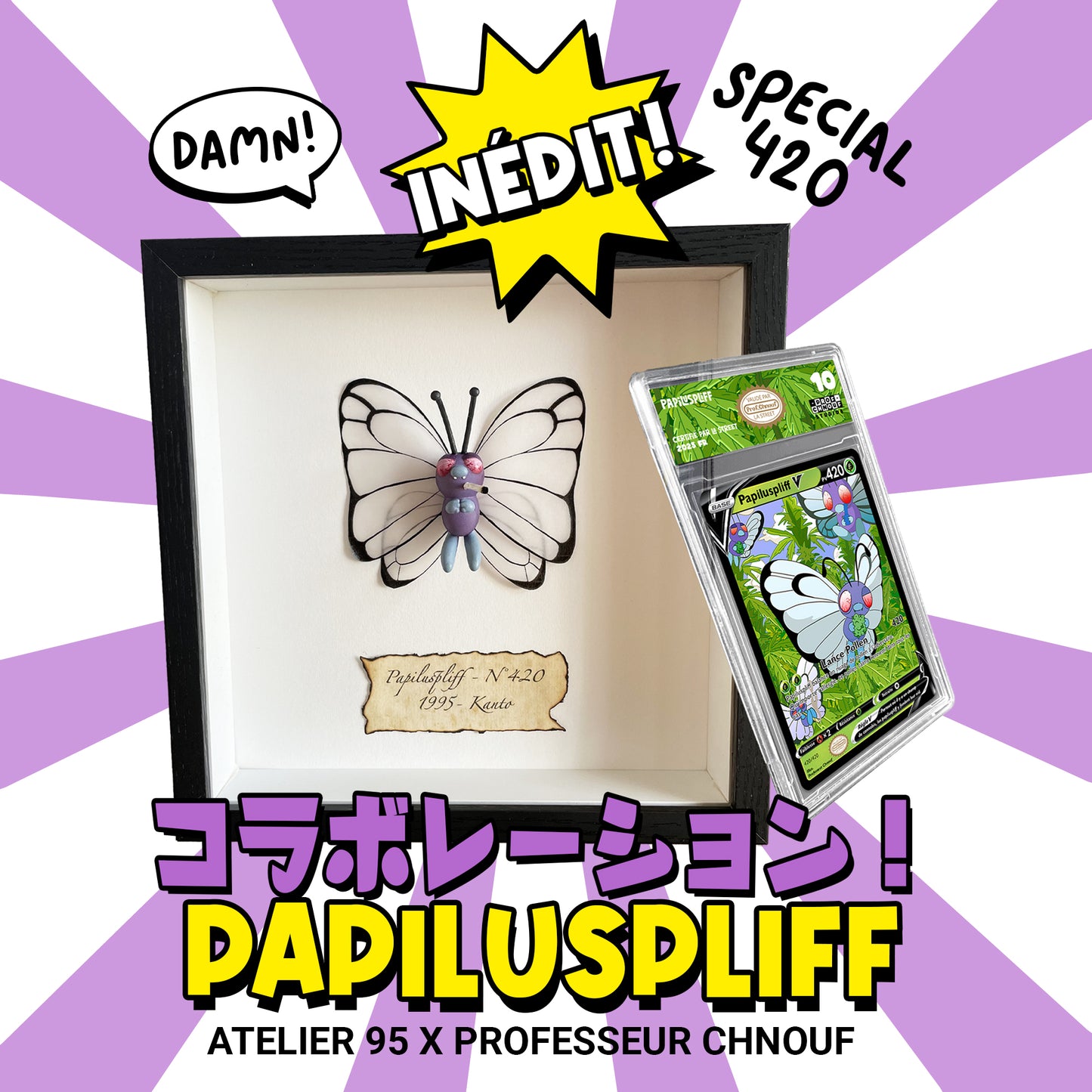 Cadre Papiluspliff 3D + carte gradée (Collab)