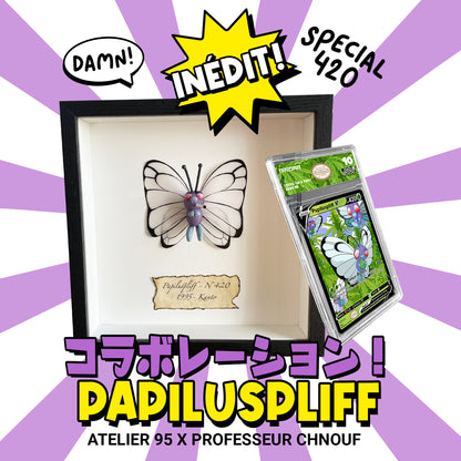Cadre Papiluspliff 3D + carte gradée (Collab)