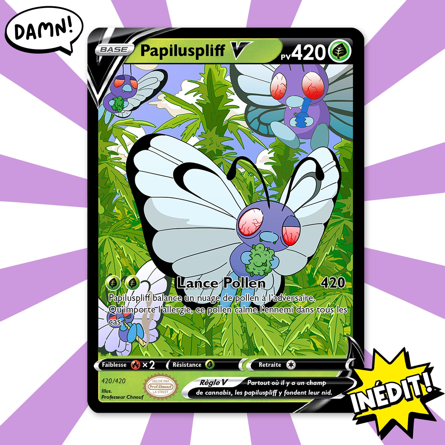 Cadre Papiluspliff 3D + carte gradée (Collab)