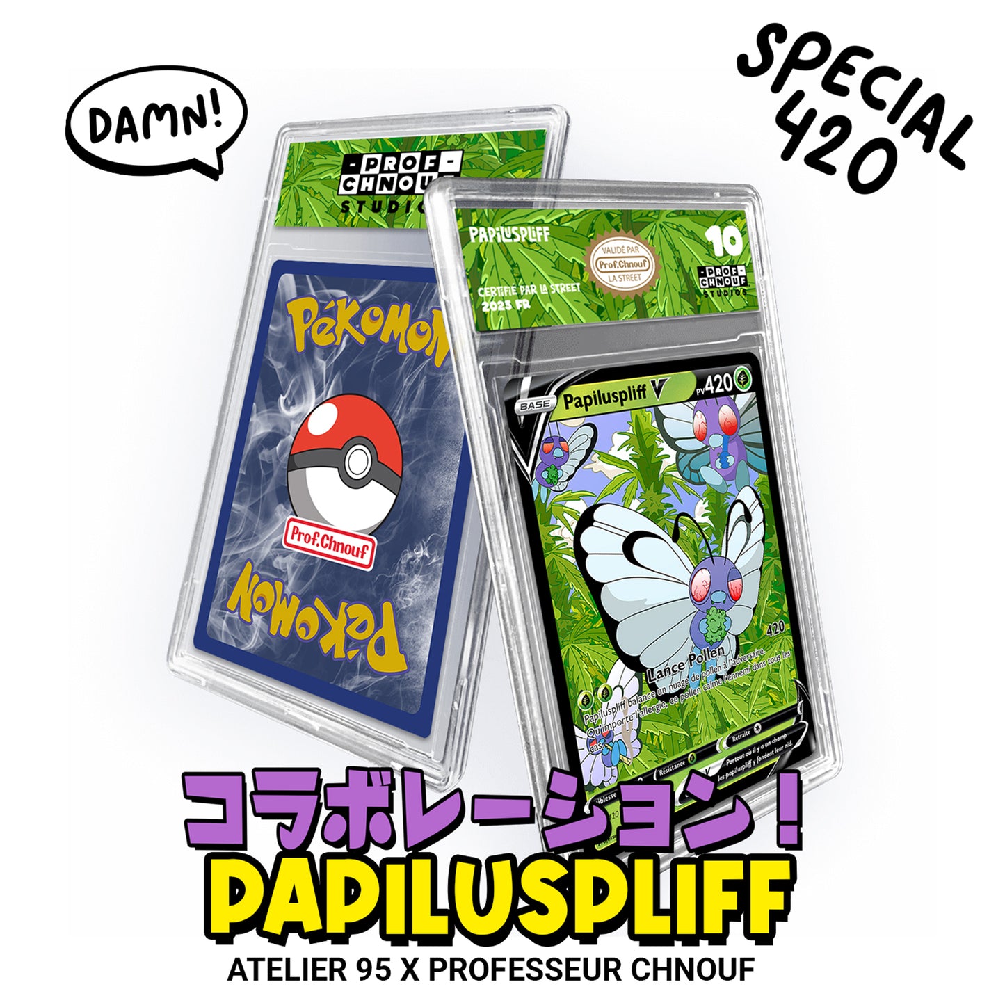 Cadre Papiluspliff 3D + carte gradée (Collab)